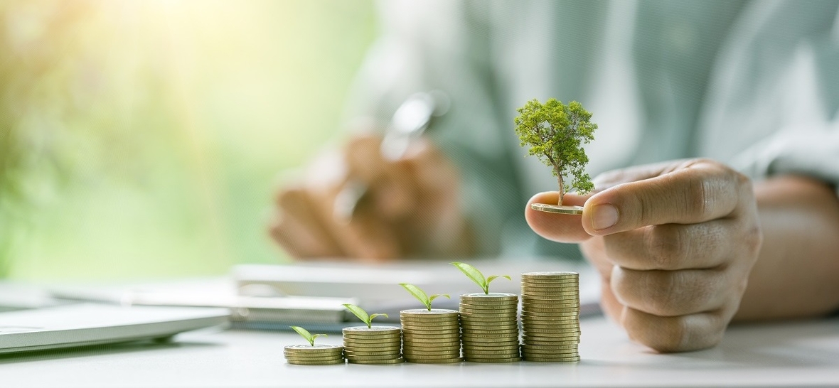 Globale Dynamik für grüne Energie nimmt Fahrt auf – Deutschland gerät ins Zweifeln