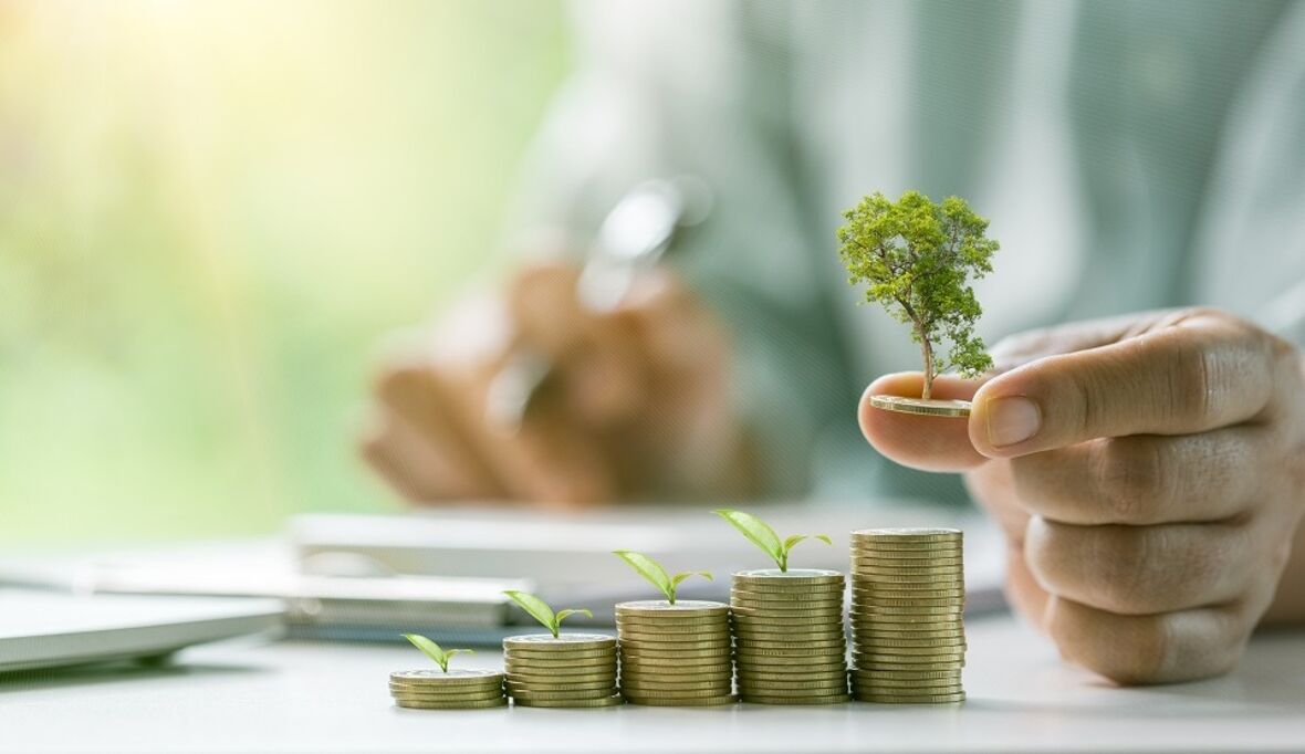 Globale Dynamik für grüne Energie nimmt Fahrt auf – Deutschland gerät ins Zweifeln