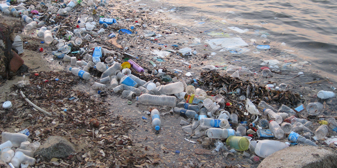 WDC kämpft weiter gegen Plastikverschmutzung der Meere