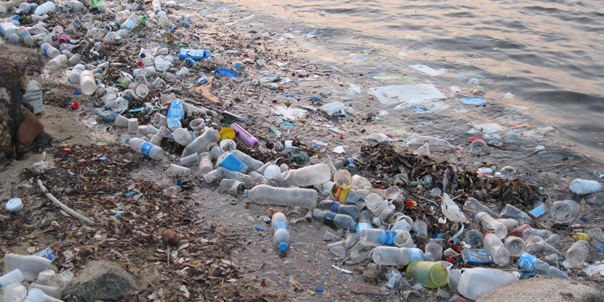 Plastik - Tödliche Gefahr für Wale und Delfine