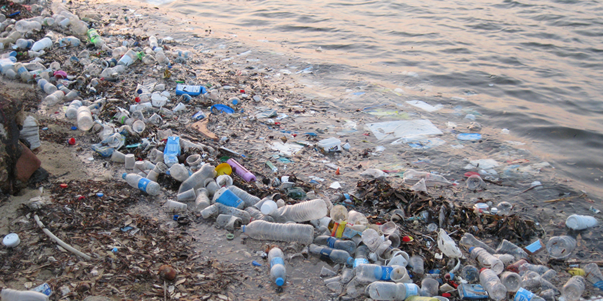 Bioroboter gegen Verschmutzungen im Meer