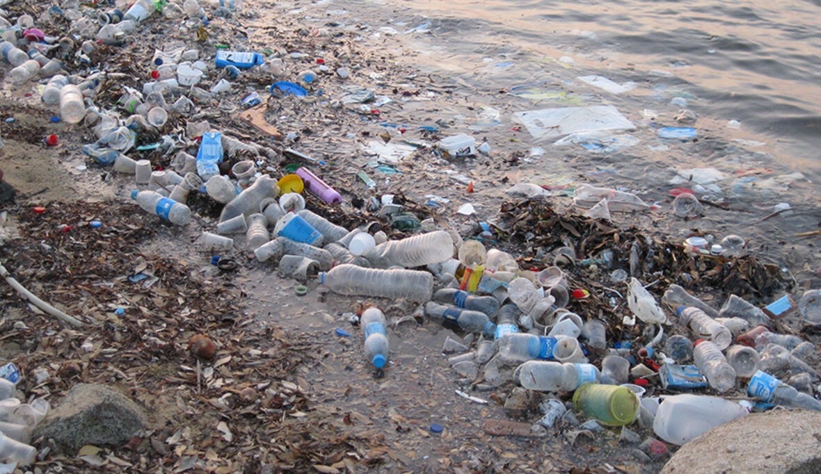 WDC kämpft weiter gegen Plastikverschmutzung der Meere