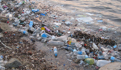 Müll in den Weltmeeren überall präsent
