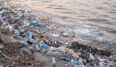 Westliches Mittelmeer erstickt im Plastikmüll