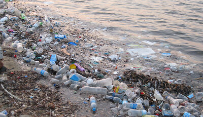 Plastikverschmutzung der Meere durch regionales Handeln reduzieren