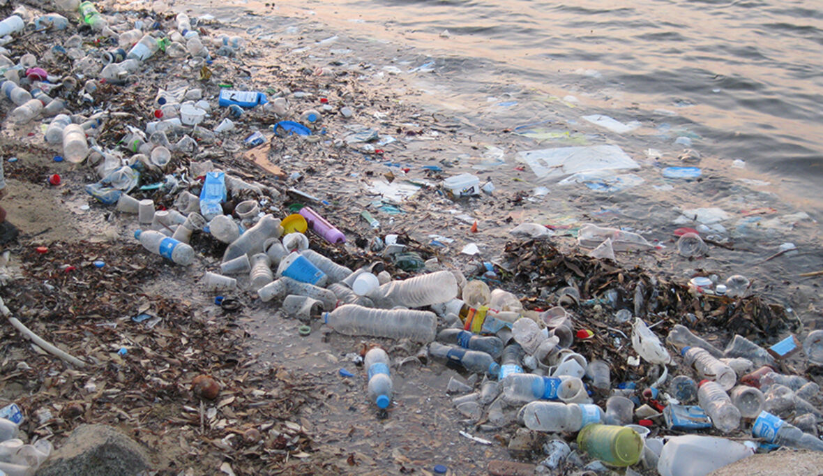 „Plastik-Peter“ gewinnt Golden Green Award beim Deauville Festival