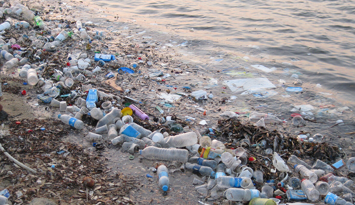 Wilder Müll als wachsendes Problem