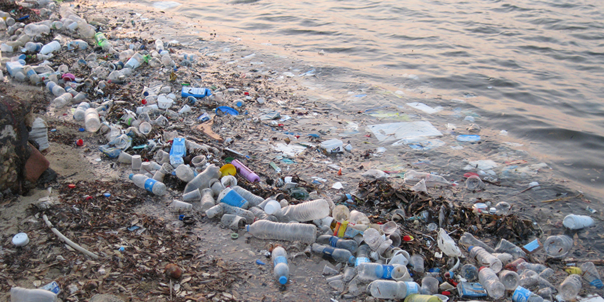 Plastikmüll: Neues Polymer für sauberere Meere