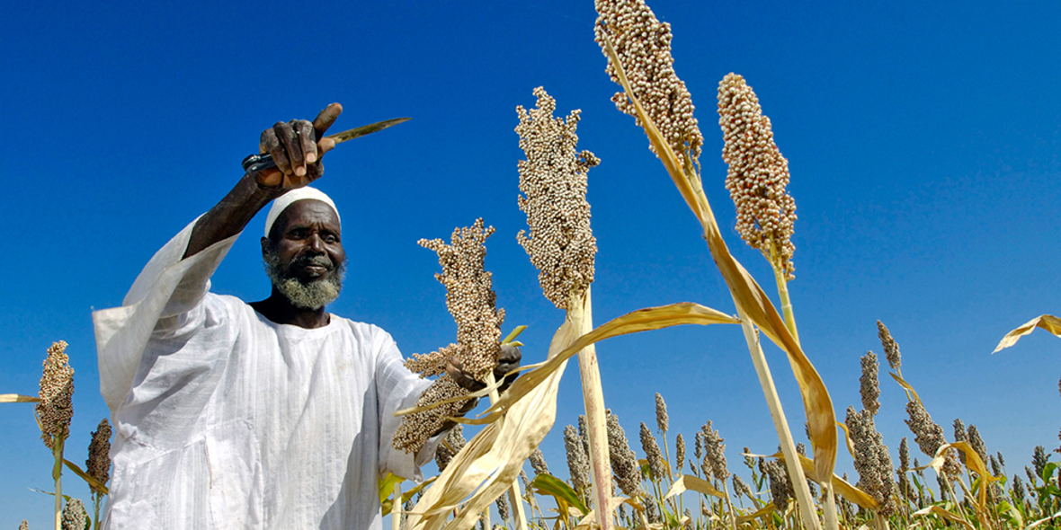 Global Food Summit: Nahrungssicherheit, Rohstoff-Management und technologischer Wissenstransfer