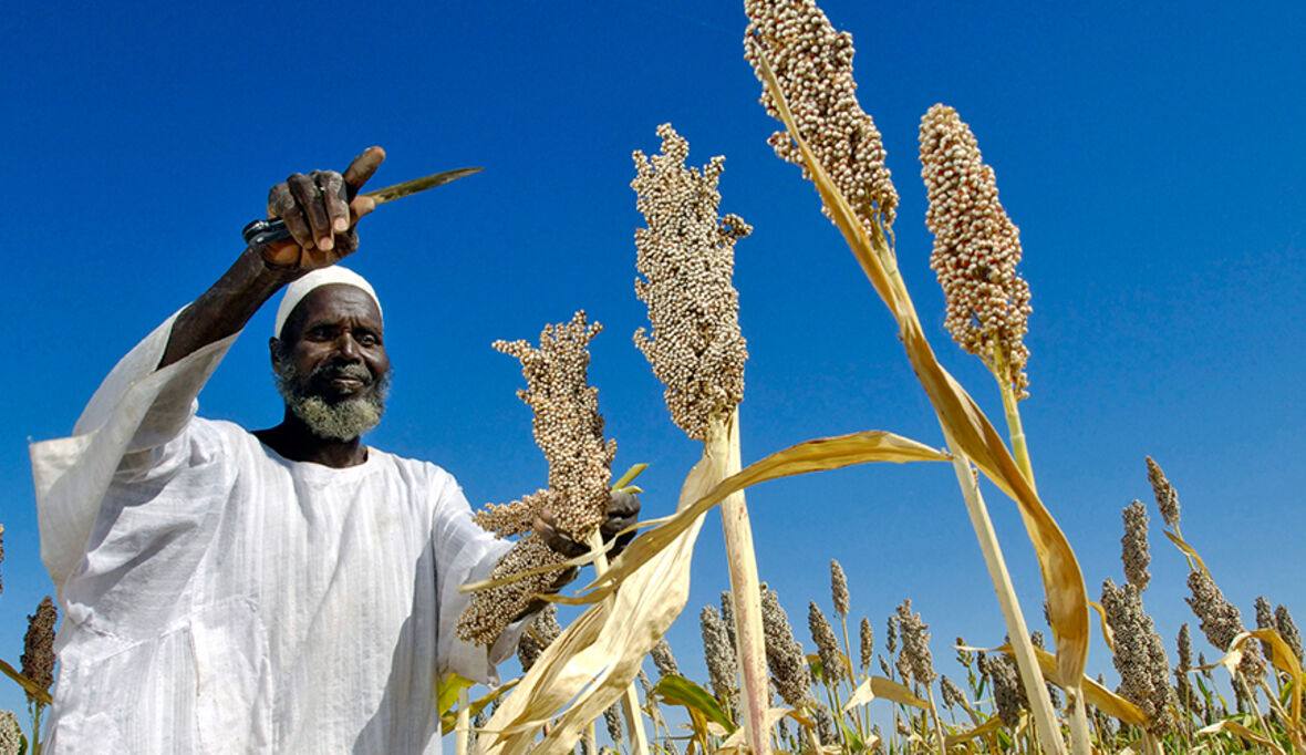 Global Food Summit: Nahrungssicherheit, Rohstoff-Management und technologischer Wissenstransfer