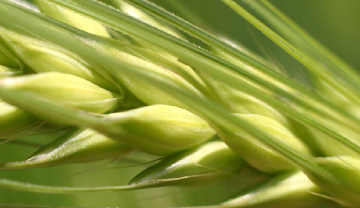 Geprüfte Nachhaltigkeit bei Evonik