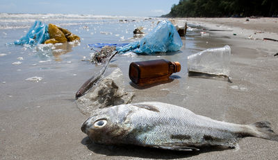 Plastikmüll im Meer: Lösung liegt an Land