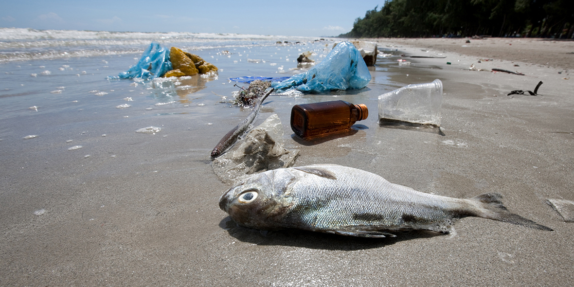 DNV GL verifiziert Herkunft von Ozean-Plastik