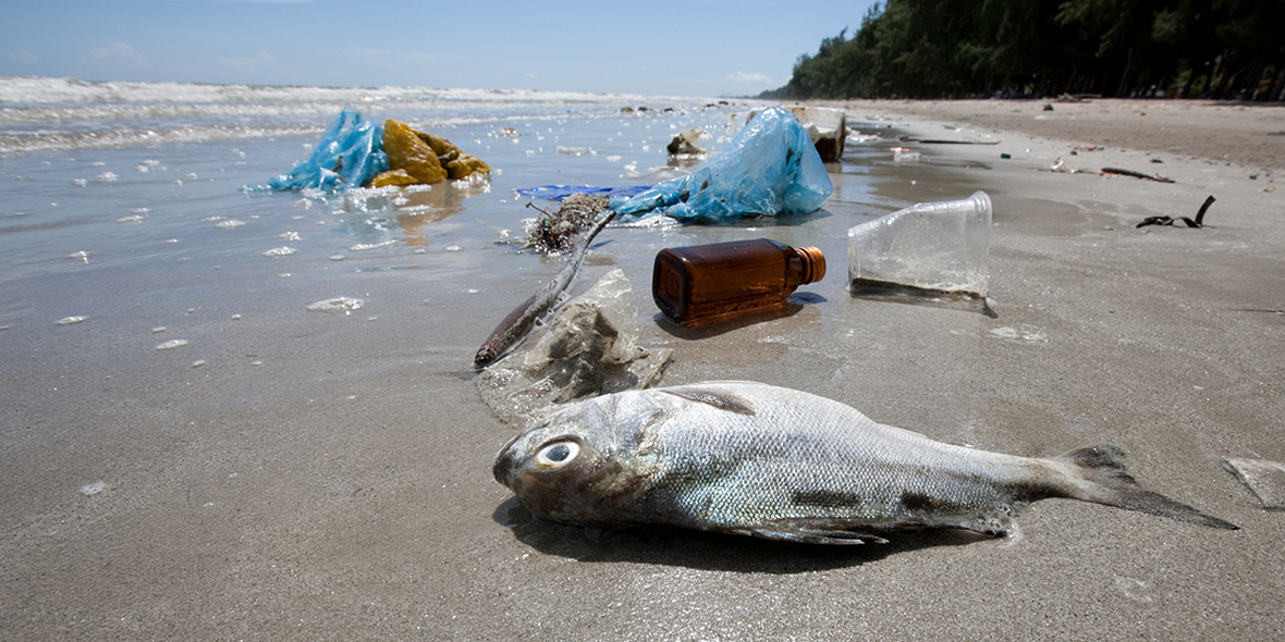 Standard für Rückverfolgbarkeit von recyceltem Plastik aus Ozeanen