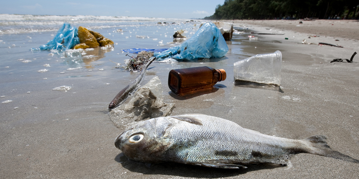 Plastikmüll im Meer: Lösung liegt an Land
