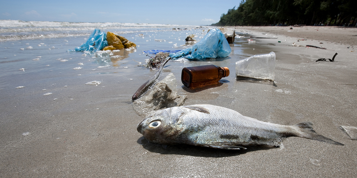 Umweltverschmutzung überschreitet Belastungsgrenzen der Erde