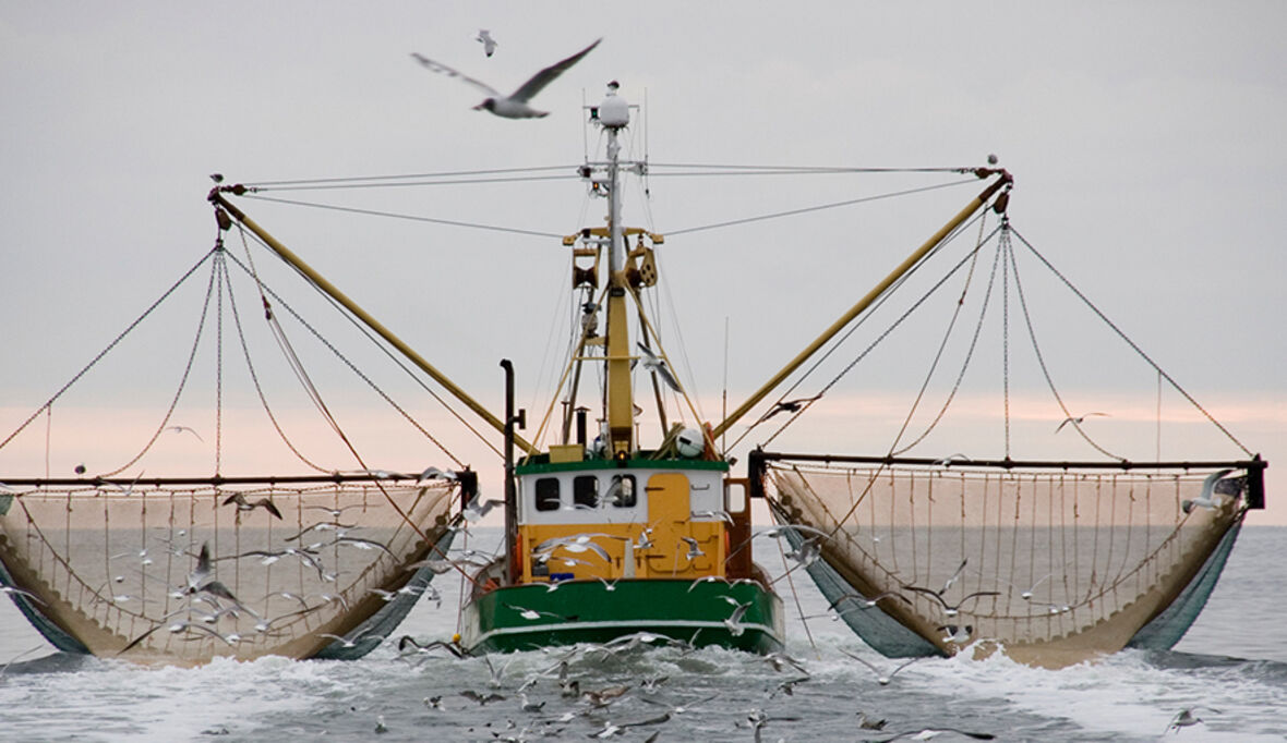 Verhandlungen über Heringsfischerei im Atlantik