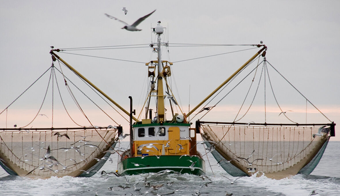 Küstenregionen als Schlüssel für eine nachhaltigere Zukunft