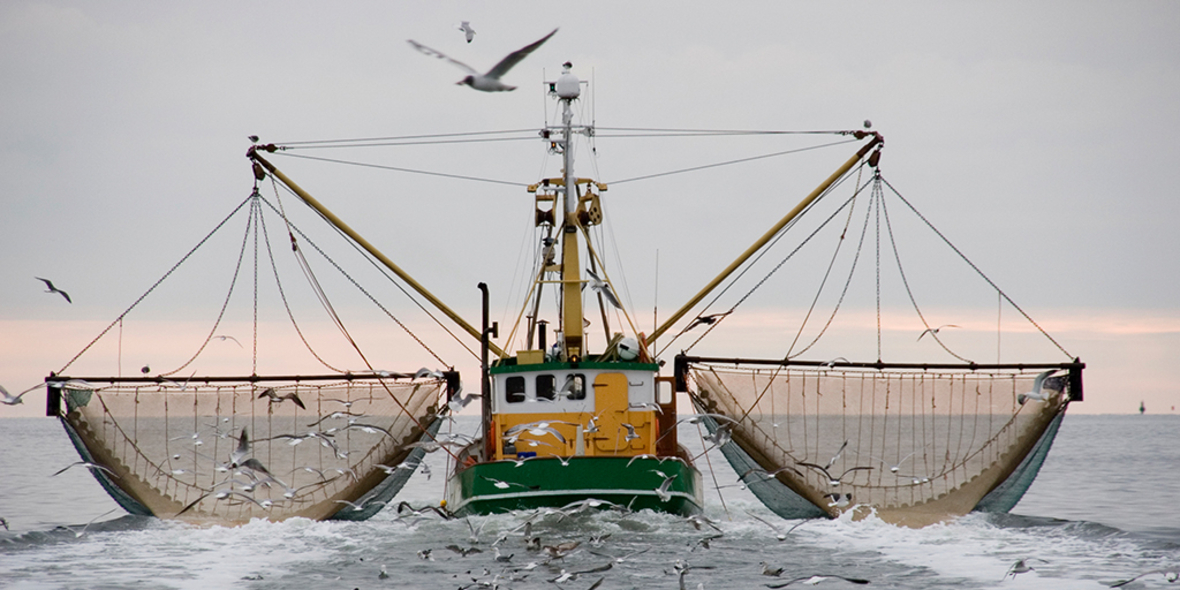 Warum Nachhaltigkeit bei Fisch nicht auf dem Etikett endet