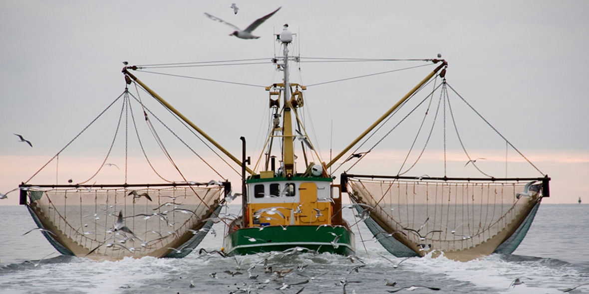 Klimawandel und seinen Auswirkungen auf die Fischerei