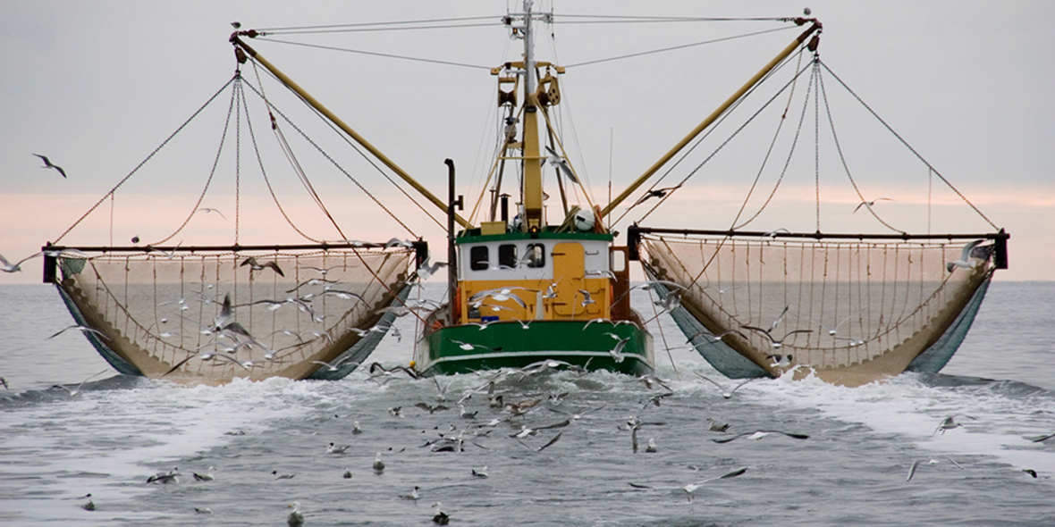 Ghanas Küstenfischer werfen wertvolle Beifang-Ressourcen ins Meer zurück