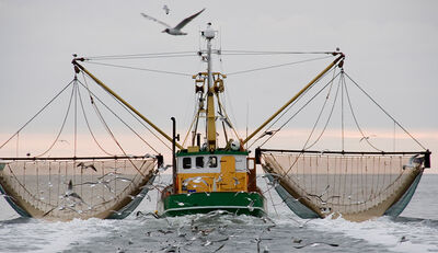Seehechtfischerei in Namibia erhält MSC-Siegel
