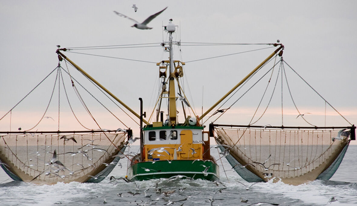 Fischereiwirtschaft: Gegen Zwangs- und Kinderarbeit