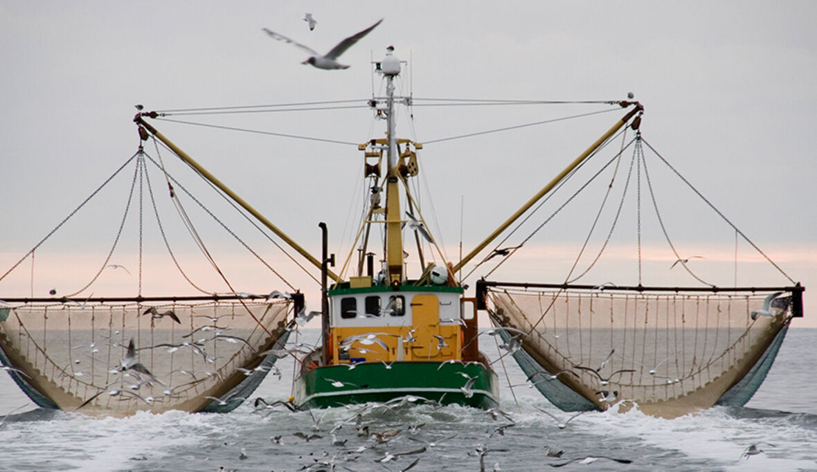 Urlaubsziel Mittelmeer – Volle Strände, leere Fischernetze