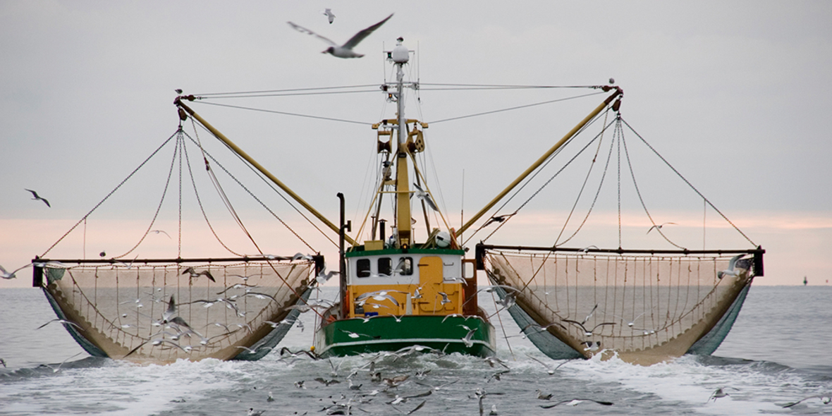Seehechtfischerei in Namibia erhält MSC-Siegel