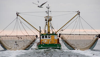 Klimawandel und seinen Auswirkungen auf die Fischerei