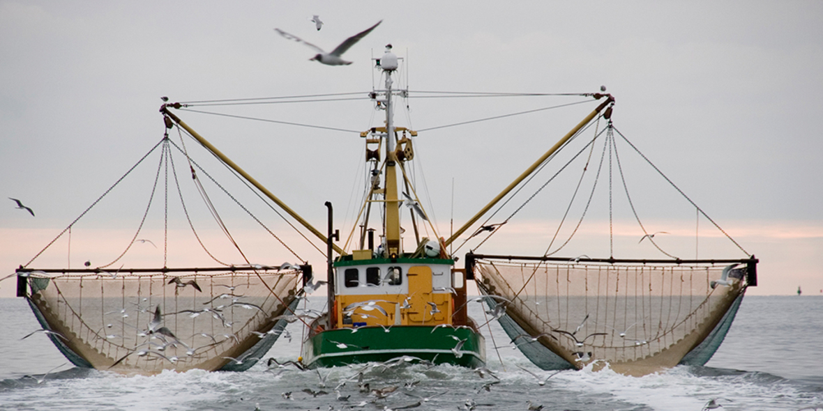Küstenregionen als Schlüssel für eine nachhaltigere Zukunft