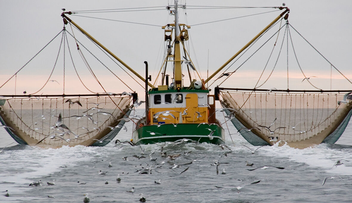 Ghanas Küstenfischer werfen wertvolle Beifang-Ressourcen ins Meer zurück
