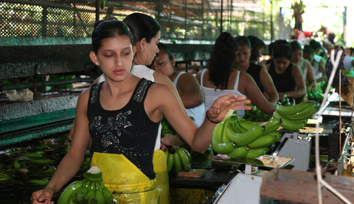 Fairtrade macht den Welthandel etwas gerechter