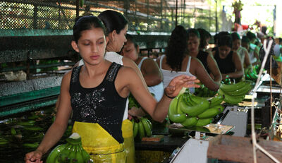 Fairtrade macht den Welthandel etwas gerechter