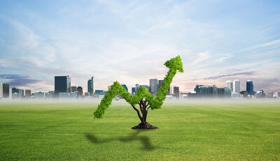 „Grüne“ Geldanlagen erkennen und nachhaltig investieren