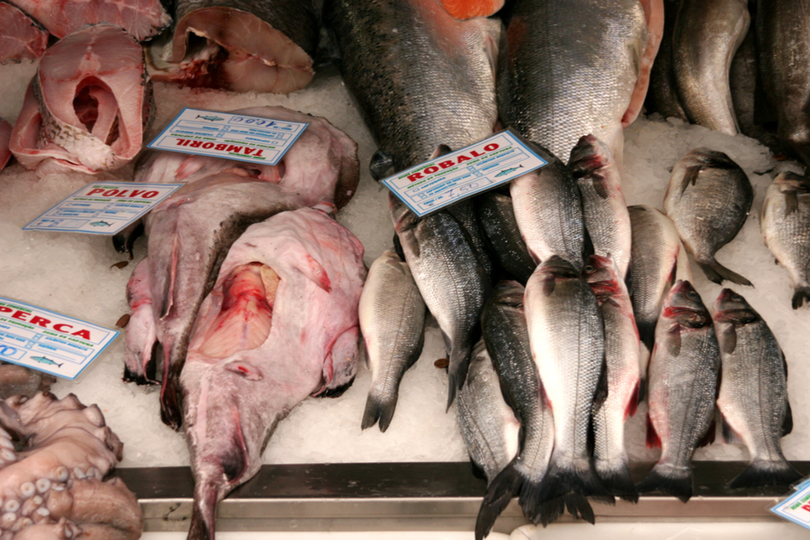 Insektenmehl als nachhaltiges Aquakultur-Futter