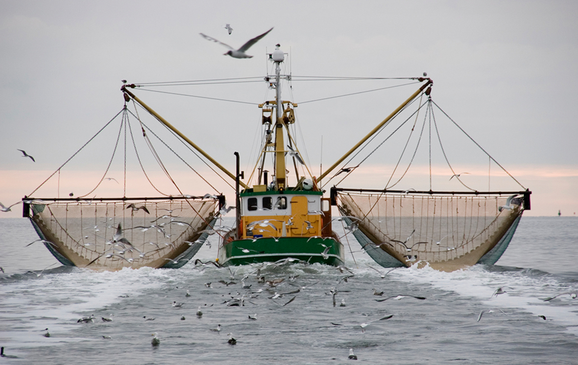 EU soll illegalen Fischfang in Ghana unterbinden