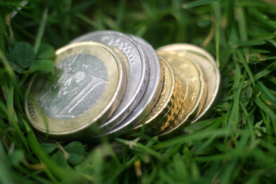 Münzen liegen im grünen Gras.