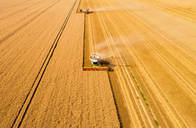 Korn Weizen Feld Mäher Traktoren Landwirtschaft 