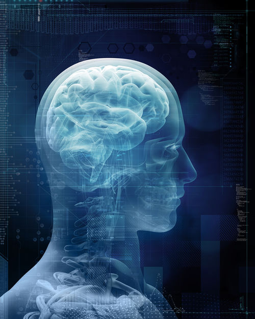 Eine Röntgen-Aufnahme zeigt das Gehirn eines Menschen.