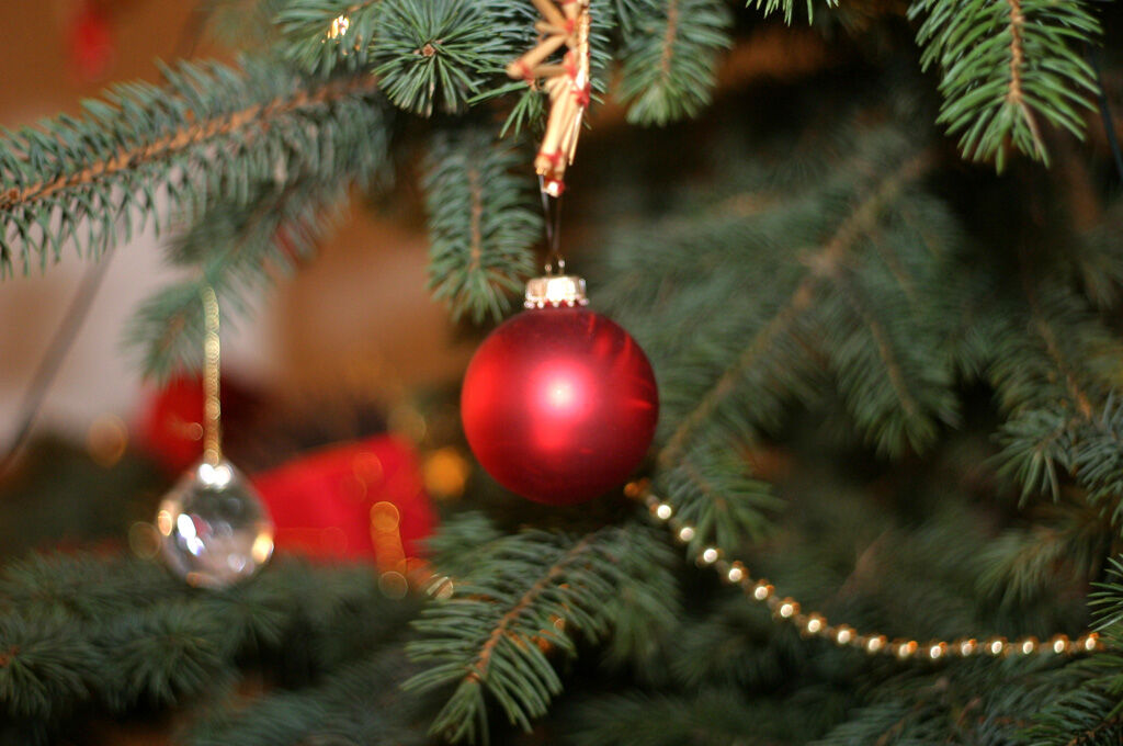 Eine Weihnachtskugel hängt am Tannenbaum.