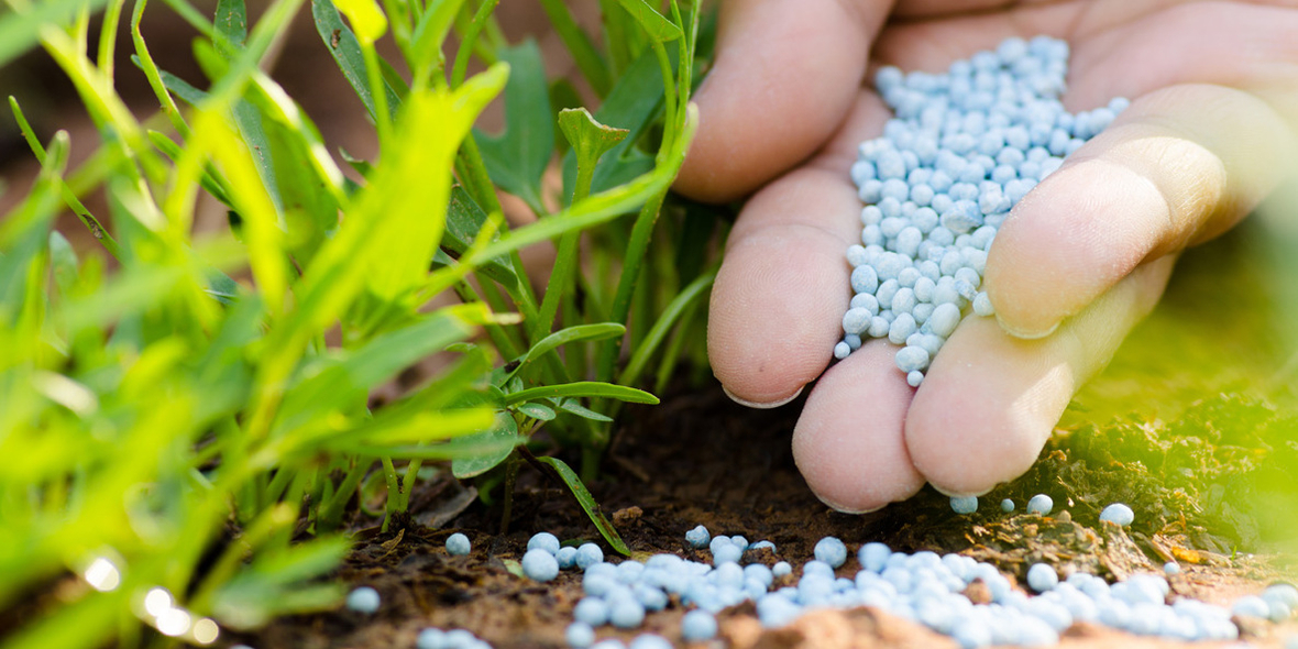 Wenn Dünger knapp wird, droht der nächste Hunger