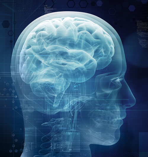 Eine Röntgen-Aufnahme zeigt das Gehirn eines Menschen.