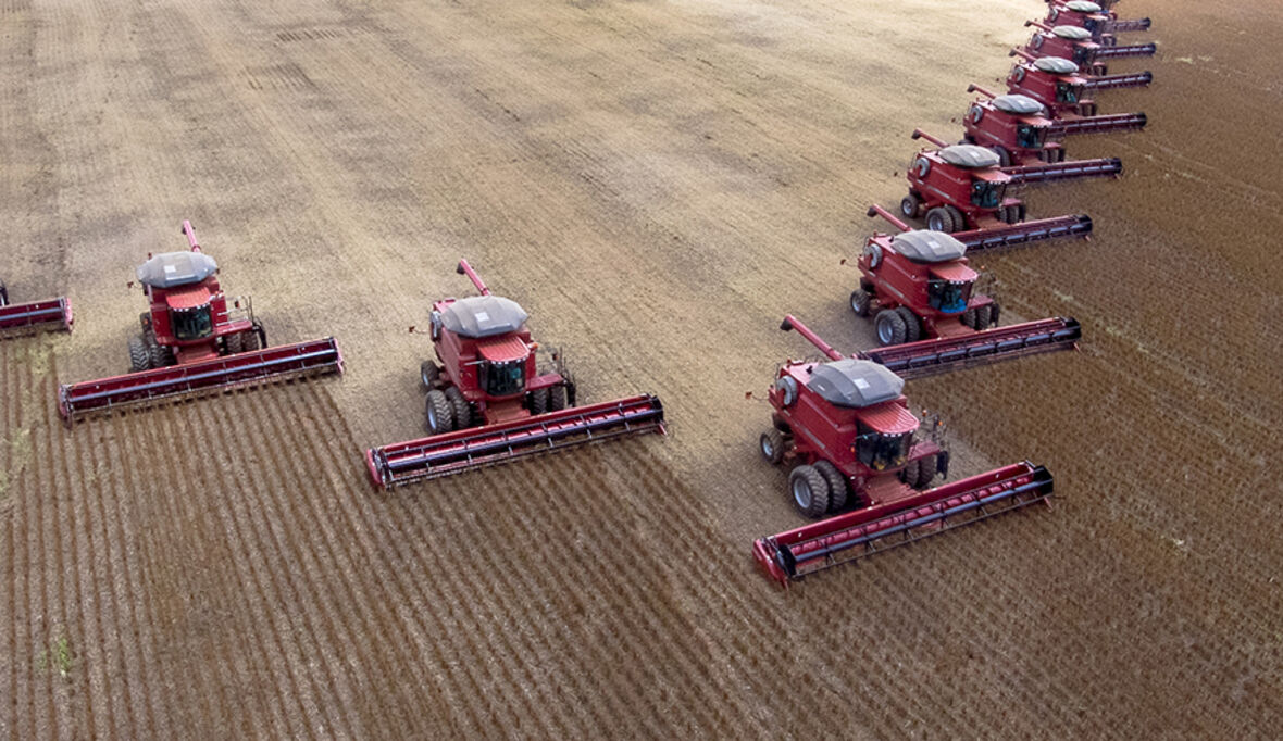 FAO-Preisindex sinkt leicht – El Niño sorgt für Unsicherheit bei der Ernte
