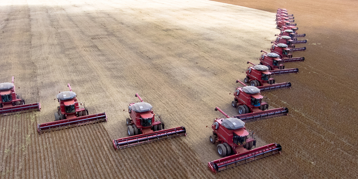 Saatgutbranche schrumpft sich groß