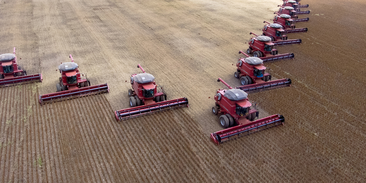 FAO-Preisindex sinkt leicht – El Niño sorgt für Unsicherheit bei der Ernte
