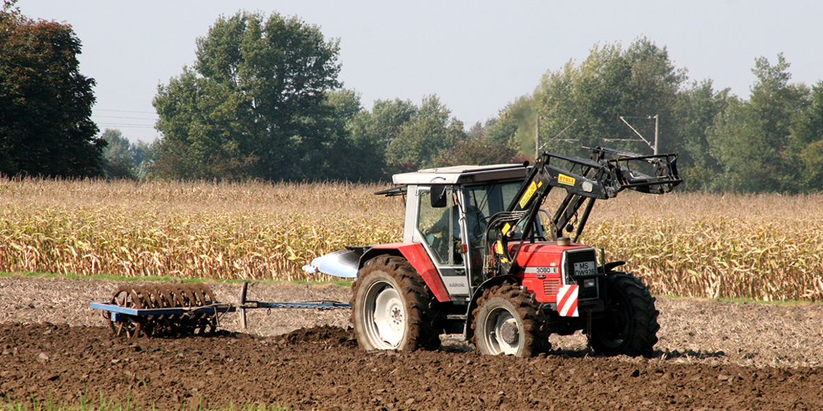 Agroforst: Nachhaltige Landnutzung in Deutschland