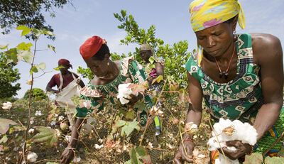 HAKRO: Nachhaltige Partnerschaften beim Baumwoll-Anbau