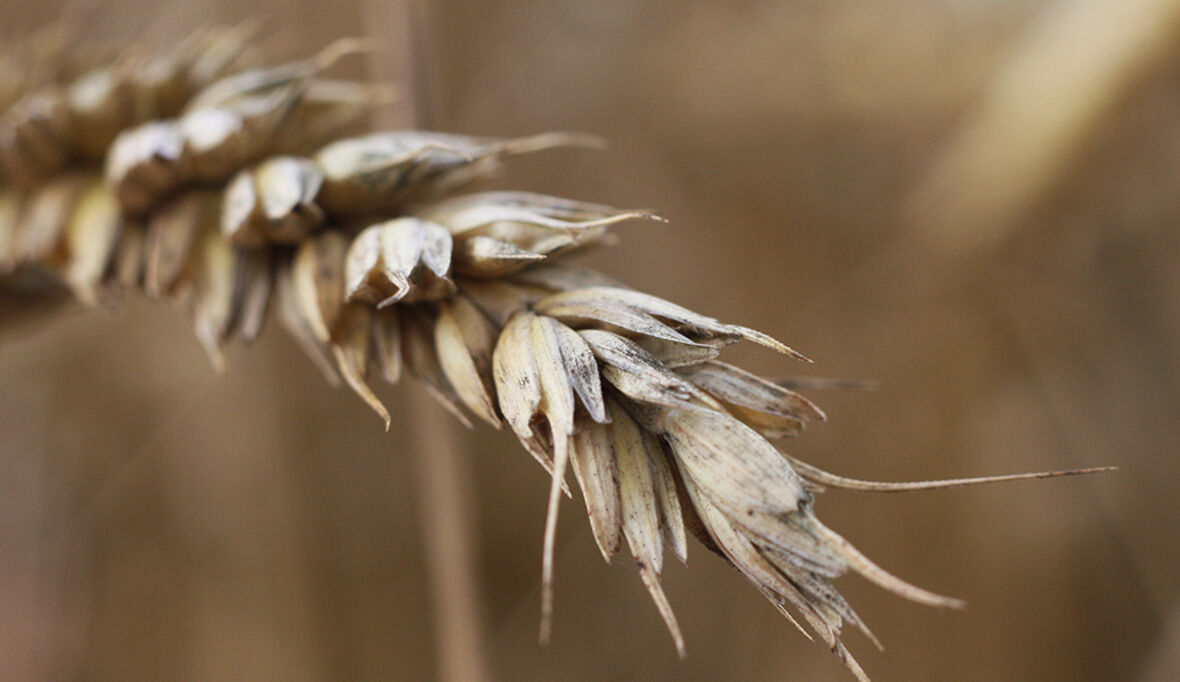 UNEP plant den Weg über 1,5 Grad hinaus
