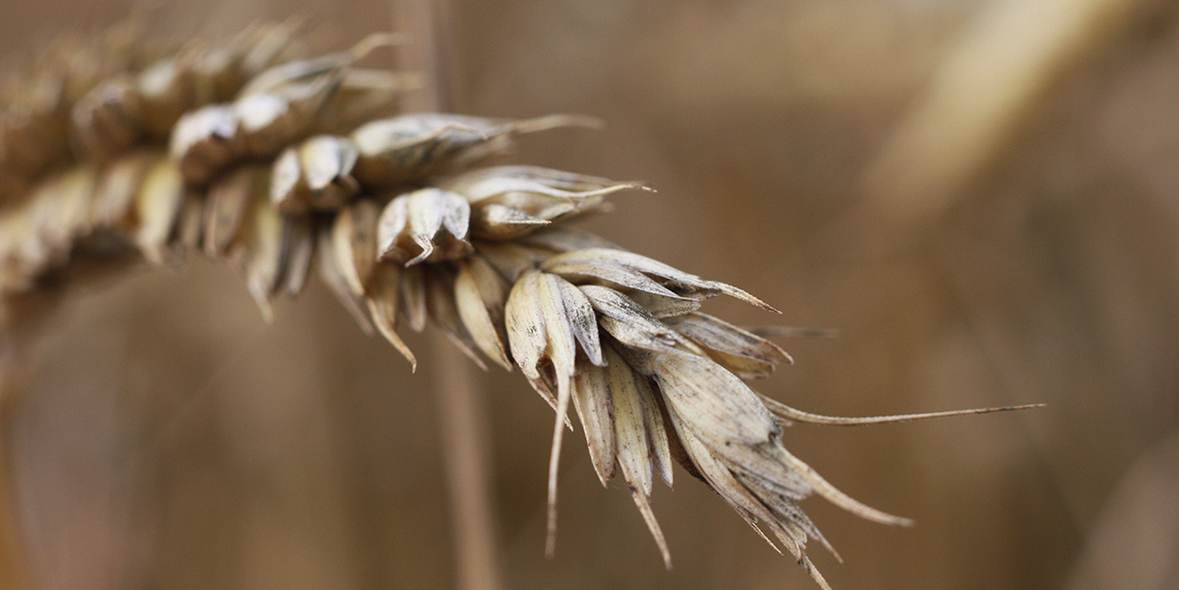 UNEP plant den Weg über 1,5 Grad hinaus